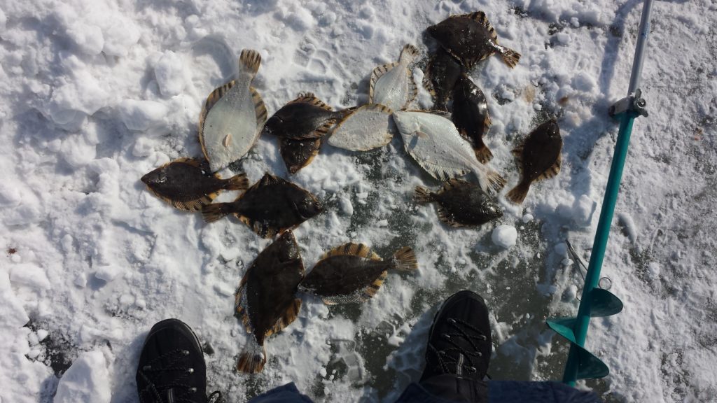 Отчёт о рыбалке в последние выходные февраля Тавричанка