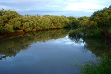 Река Мельгуновка (Мо)