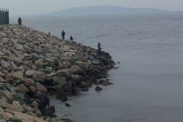 Отчёт о рыбалке на Терпуга под мостом. Октябрь 2017